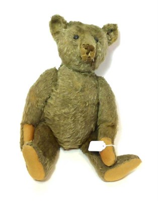 Lot 2010 - Early 20th Century Yellow Mohair Steiff Jointed Teddy Bear with Steiff button to right ear,...