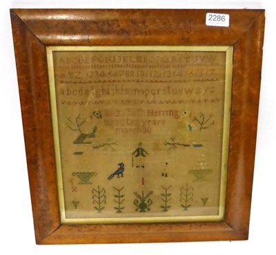 Lot 2286 - Naive Alphabet Sampler Worked by Elizabeth Herring Aged 10 years, March 30, 1831, with central...