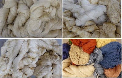 Lot 2044 - Circa 1930s and Later Skeins of Raw Silk Dupion, primarily in cream, large quantity in four...