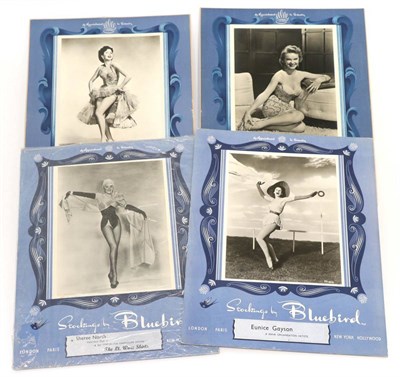 Lot 2161 - Four Bluebird Stocking Table Top Advertising Boards, featuring 'Ann Miller Attractive Star of...