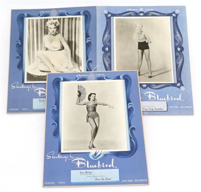 Lot 2162 - Three Bluebird Stocking Table Top Advertising Boards, featuring 'Ann Miller Captivating Star of...