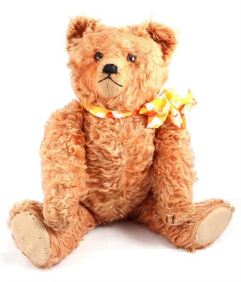 Lot 2004 - Circa 1925-30 Schuco Dual Plush Jointed Teddy Bear, in striking pink/orange plush, glass eyes,...