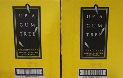 Lot 167 - Up a Gum Tree 2010, Chardonnay, half case, oc (x2) (twelve bottles)