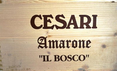 Lot 1087 - Gerardo Cesari Il Bosco, Amarone della Valpolicella DOCG 2000, half case, owc (x2) (twelve bottles)