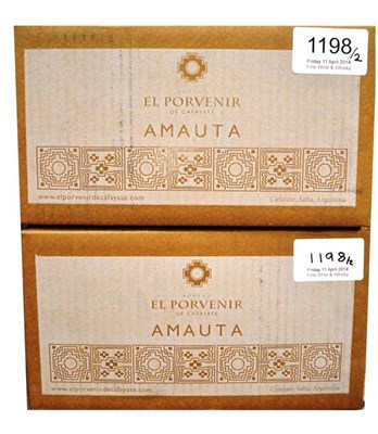 Lot 1198 - Bodegas El Porvenir de Cafayate Amauta Corte II Respeto 2011, Cafayate, Argentina (twelve bottles)