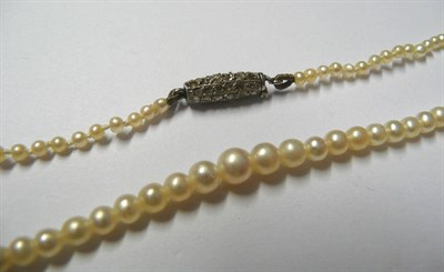 Lot 113 - A Pearl Necklace, the pearls strung to a rose cut diamond set barrel clasp, length 40.5cm  NB...