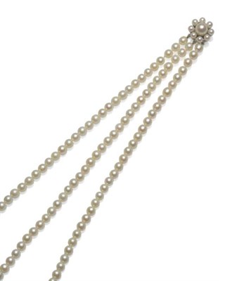 Lot 1091 - A Cultured Pearl Choker, the uniform part knotted 50:51:52 pearls strung to a cluster clasp, length