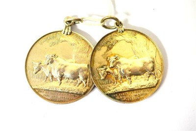 Lot 1322 - Two Victorian White Metal Agricultural Medals, each awarded by Sir Edward Colebrooke to James...