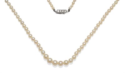 Lot 2180 - A Cultured Pearl Necklace, the graduated pearls strung to a diamond set clasp, length 52cm