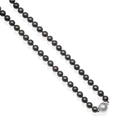 Lot 2112 - A Cultured Black Pearl Necklace, with an 18 Carat White Gold Diamond Set Clasp, uniform black...