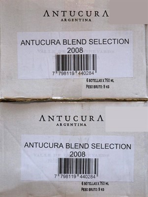 Lot 2141 - Antucura Blend Seleccion 2008, Vista Flores, Argentina (twelve bottles)