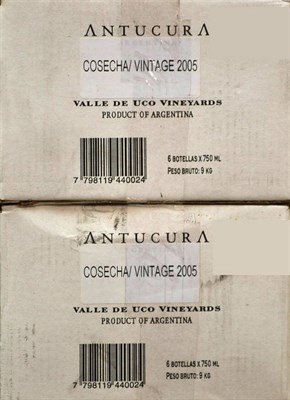 Lot 2142 - Antucura Gran Vin 2005, Vista Flores, Argentina (twelve bottles)