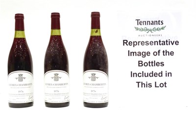 Lot 5100 - Domaine Trapet Pere et Fils Gevrey-Chambertin 1976 (x 9) (nine bottles) U: average 2cm