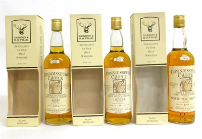 Lot 2321 - North Port Brechin 1974 Connoisseurs Choice, bottled 1993, 70cl, 40%, in original carton;...