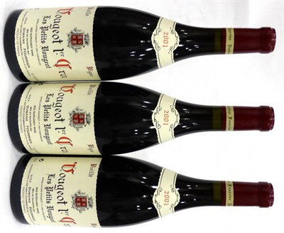 Lot 2045 - Domaine Fourrier Vougeots 1er cru les Petits Vougeots 2013 (x3) (three bottles)