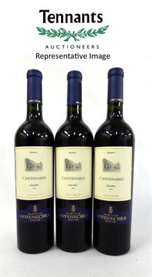 Lot 2130 - Mendoza Argentina Goyenechea Malbec Reserva 2013 (x12) (twelve bottles)