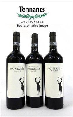 Lot 2131 - Mendoza Argintina Montanes Malbec 2014 (x12) (twelve bottles)