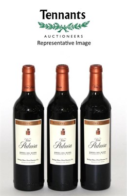 Lot 2266 - Bodegas Hermanos Perez Pascuas Vina Pedrosa Reserva 2011 (x6); Margaux AC 2007 (x6) (twelve...