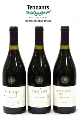 Lot 2267 - Bodegas Salentein Reserve Pinot Noir 2012 (x12) (twelve bottles) U: soiled lables