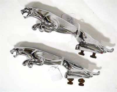 Lot 2008 - Two Jaguar Chrome Car Mascots, modelled as leaping jaguars, on rectangular bases, 20cm diameter (2)