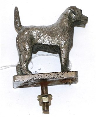 Lot 2085 - A 1950s Chrome Plated Lakeland Terrier Car Mascot, standing on a rectangular plinth base,...