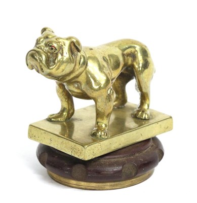Lot 1091 - A Brass Car Mascot in the form of a Bulldog, standing on a rectangular base, mounted screw radiator