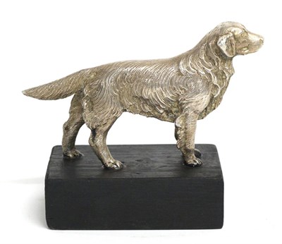 Lot 1106 - A Nickel Plated Car Mascot in the form of a Retriever, realistically modelled standing on an...