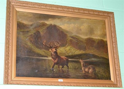 Lot 1107 - R Dunnington (19th century) Stag at bay in highlands, signed, oil on canvas
