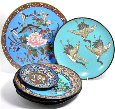 Lot 270 - A group of early 20th century Japanese cloisonne chargers and plates decorated with birds and...