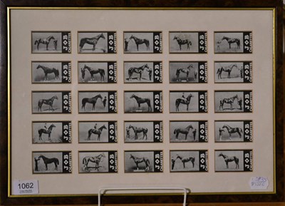 Lot 1062 - Job cigarette cards a set of twenty five racehorse cards loose framed with both sides of the...