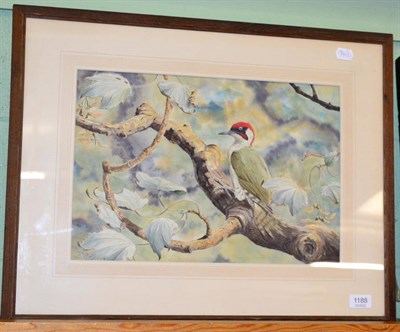 Lot 1188 - A watercolour signed Oliver Heywood and dated 1947, depicting a woodpecker perched on a branch