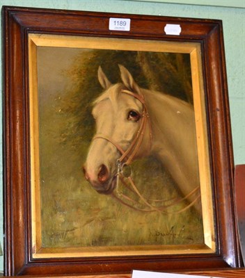 Lot 1189 - Oil on board, head of a grey hunter signed George Brownlow