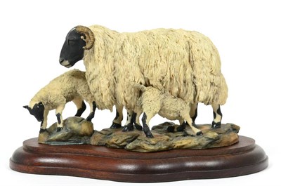 Lot 6 - Border Fine Arts 'Blackface Ewe and Lambs' (Style One), model No. L25 by Mairi Laing Hunt,...