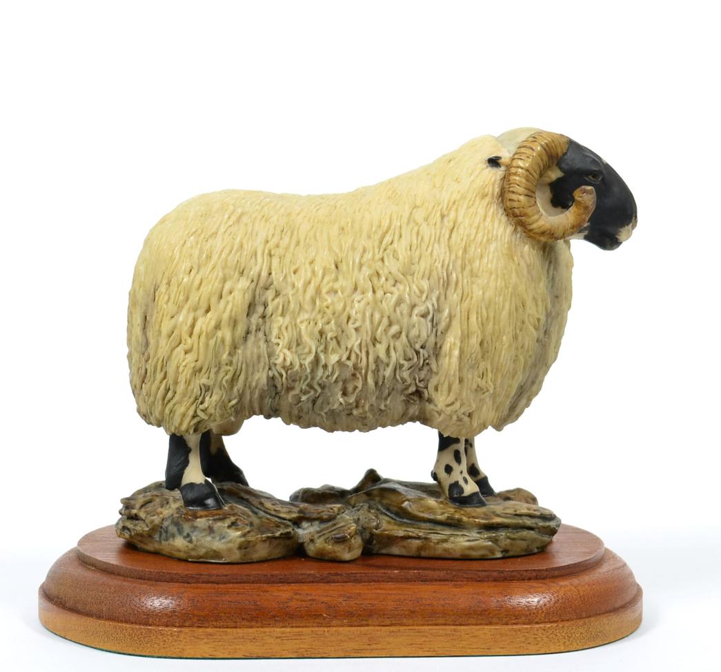 Lot 7 - Border Fine Arts 'Blackface Tup' (Style One), model No. L15 by Mairi Laing Hunt, limited...