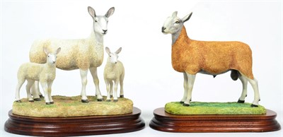 Lot 9 - Border Fine Arts 'Blue Faced Leicester Tup' (Style One), model No. B0149 by Ray Ayres, limited...