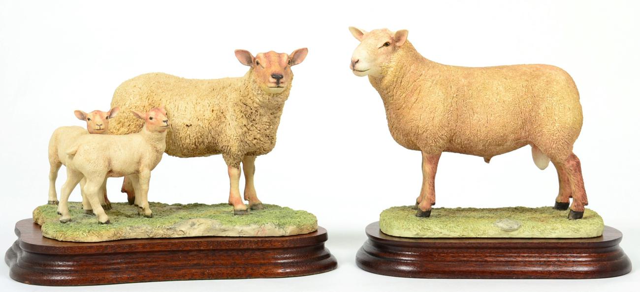 Lot 13 - Border Fine Arts 'Charolais Ewe and lambs', model No. L121 by Ray Ayres, limited edition 97/750, on