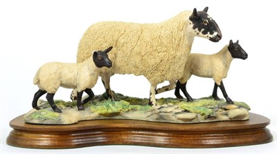 Lot 33 - Border Fine Arts 'Mule Ewe and Lambs', model No. EG03 by Mairi Laing Hunt, limited edition...