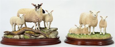 Lot 34 - Border Fine Arts 'Mule Ewe and Texel Lambs', model No. B1251 by Ray Ayres, limited edition 193/500
