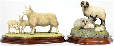 Lot 36 - Border Fine Arts 'North Country Cheviot Ewe with Scotch Halfbred Lambs', model No. L147 by Ray...
