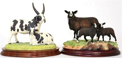 Lot 52 - Border Fine Arts 'Zwartble Ewe and Lambs', model No. 12334 by Ray Ayres, limited edition...