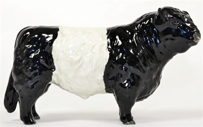 Lot 69 - Beswick Galloway Bull - Belted, model No. 1746B, black and white gloss