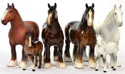 Lot 91 - Beswick Shire Horses and Foals Comprising: Shire Mare, model No. 818, brown gloss; another; a brown