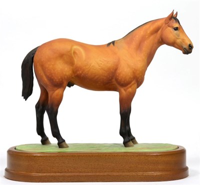 Lot 101 - Royal Worcester American Quarter Horse ";Poco Stampede";, model No. RW3733 by Doris Lindner,...