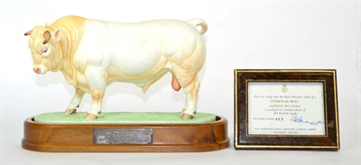 Lot 116 - Royal Worcester Charolais Bull ";Vaillant";, model No. RW3824 by Doris Lindner, on wooden...