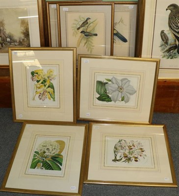 Lot 1137 - After Horto Van Houtteano, A set of four botanical prints; together with a set of three prints...