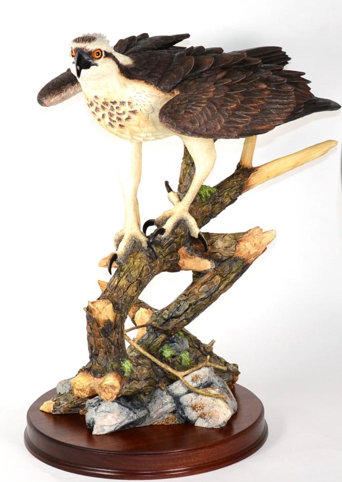 Lot 38 - Border Fine Arts 'Prince of the Loch' (Osprey), model No. B0651 by Richard Roberts, limited edition