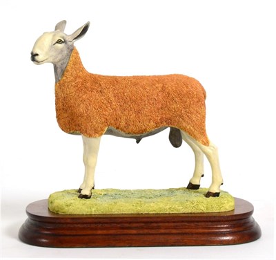 Lot 14 - Border Fine Arts 'Blue Faced Leicester Tup' (Style One), model No. B0149 by Ray Ayres, limited...
