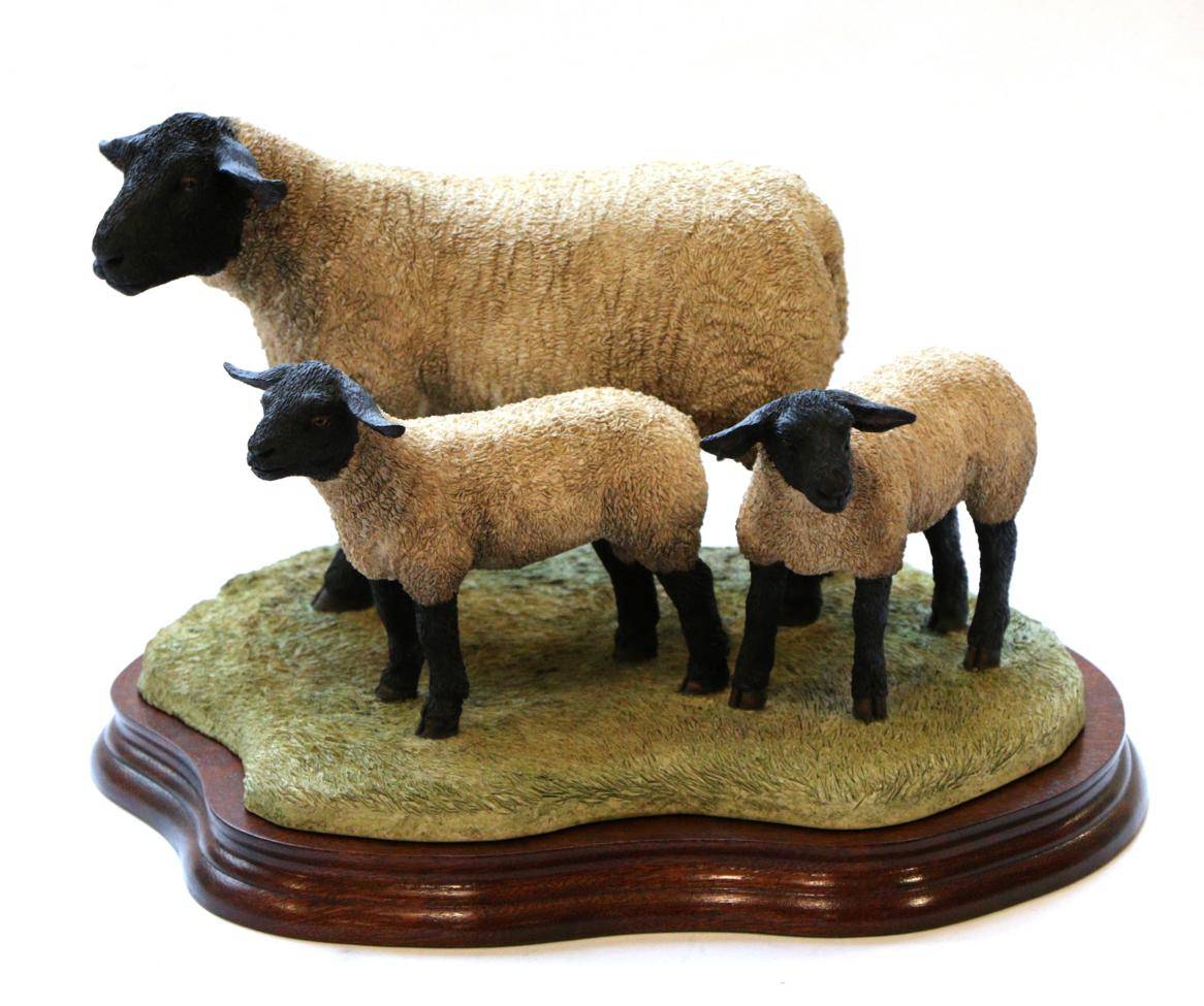 Lot 16 - Border Fine Arts 'Suffolk Family Group' (Ram with Gimmer and Ewe Lambs), model No. B0197 by Ray...