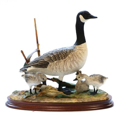 Lot 25 - Border Fine Arts 'Canada Goose and Goslings' (Style Three), model No. B0882 by Jack Crewdson,...