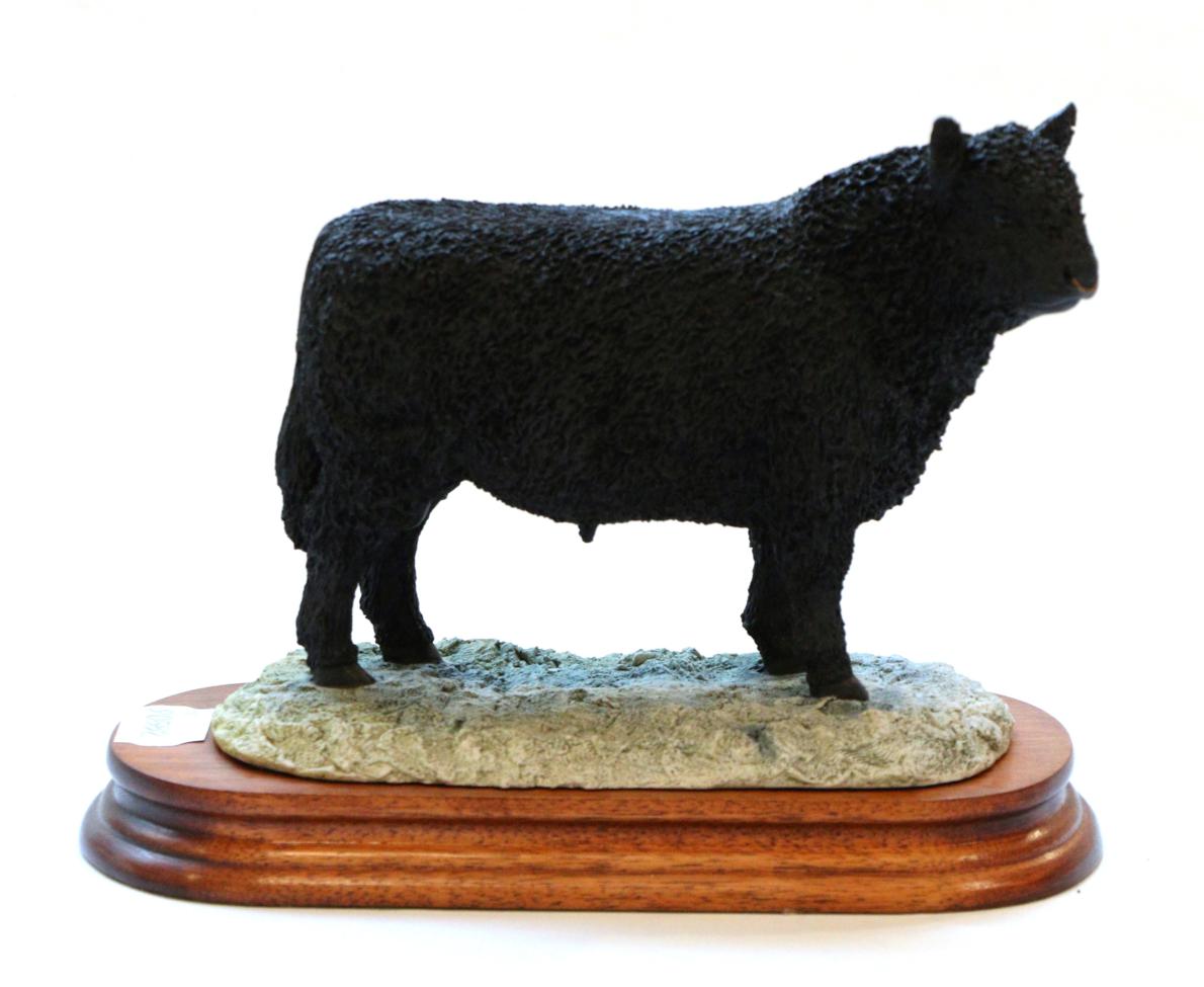 Lot 50 - Border Fine Arts 'Galloway Bull', (Style One), model No. L33 by Ray Ayres, limited edition 404/850